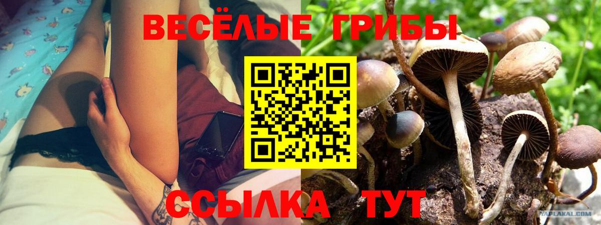Галлюциногенные грибы прущие грибы Шебекино